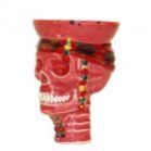 ����� ����� �����